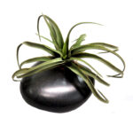 terraria plant stone