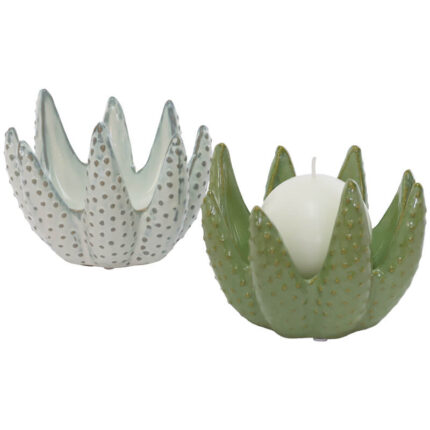 aloe candle holder