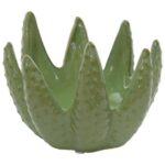 aloe candle holder