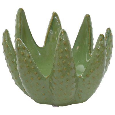 aloe candle holder
