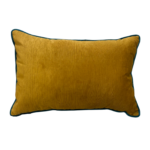 blue velvet scatter cushion
