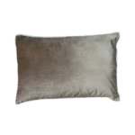 blue velvet scatter cushion